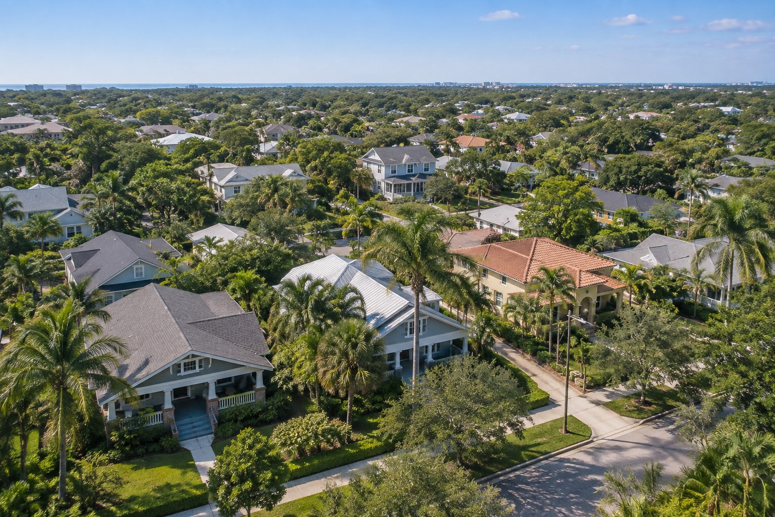 South Tampa